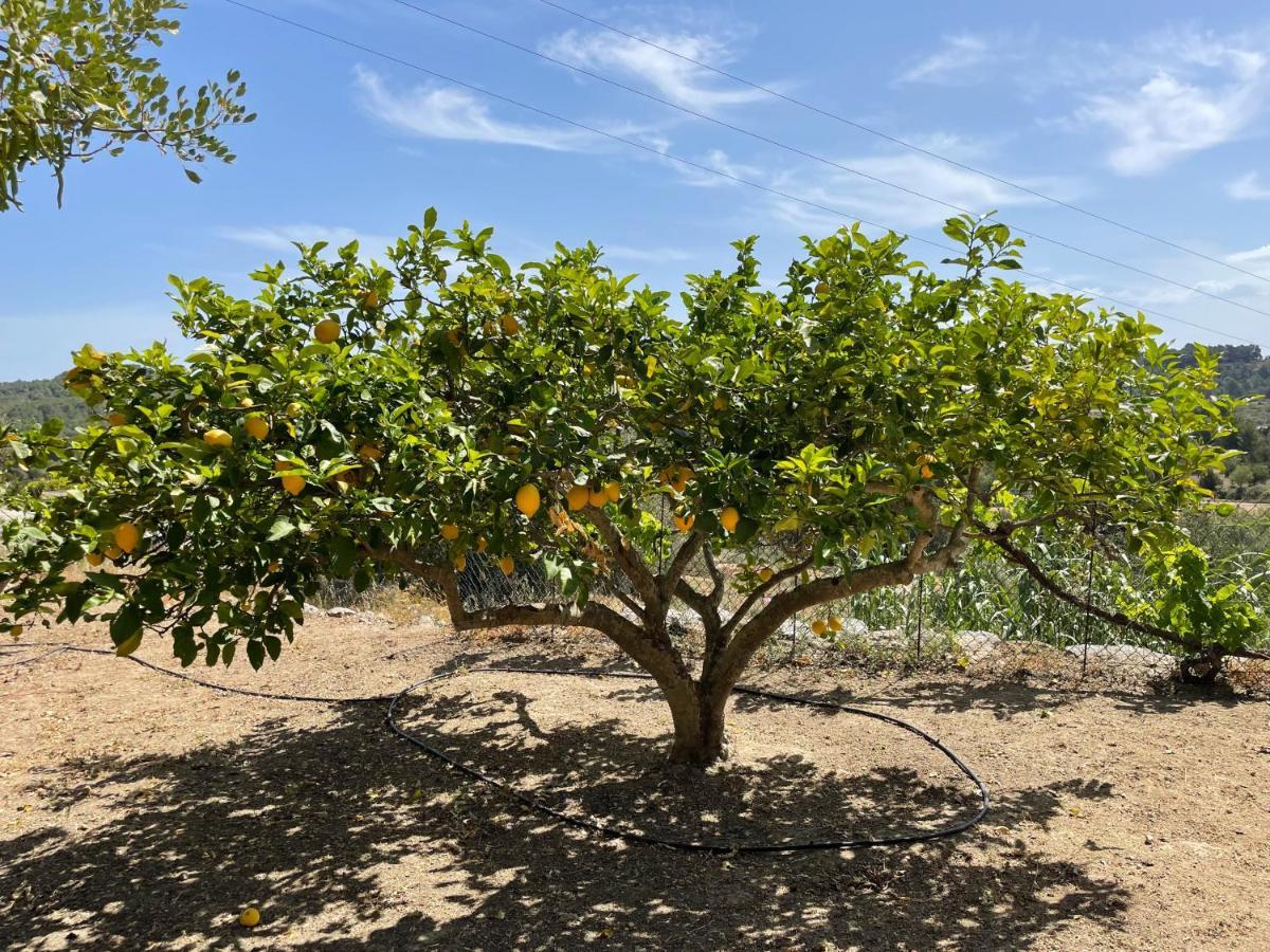 Finca Can Toni Den Real Sant Josep de sa Talaia Ngoại thất bức ảnh